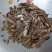 天然香瓜子自然粒