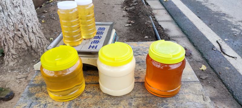 百花蜜油菜花蜜土蜂蜜包邮农家自家养殖销售