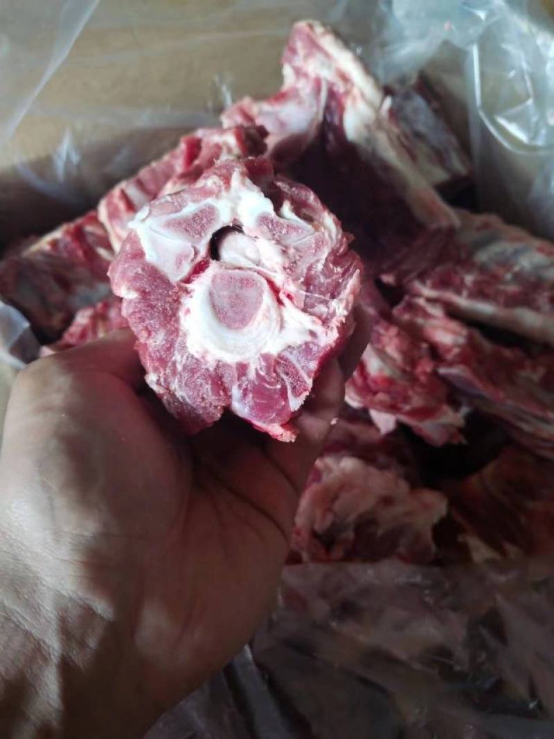 河北河间市羊蝎子羊脊骨羊蝎子肉含量高清真食品量大优惠