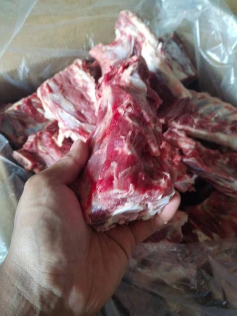 河北河间市羊蝎子羊脊骨羊蝎子肉含量高清真食品量大优惠