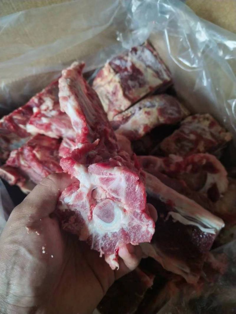 河北河间市羊蝎子羊脊骨羊蝎子肉含量高清真食品量大优惠