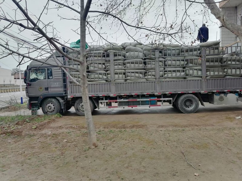 青桑叶大量抛售