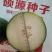 杂交黑皮小冬瓜种子北京硕源黑皮礼品冬瓜迷你型黑冬瓜种子