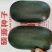 杂交黑皮小冬瓜种子北京硕源黑皮礼品冬瓜迷你型黑冬瓜种子