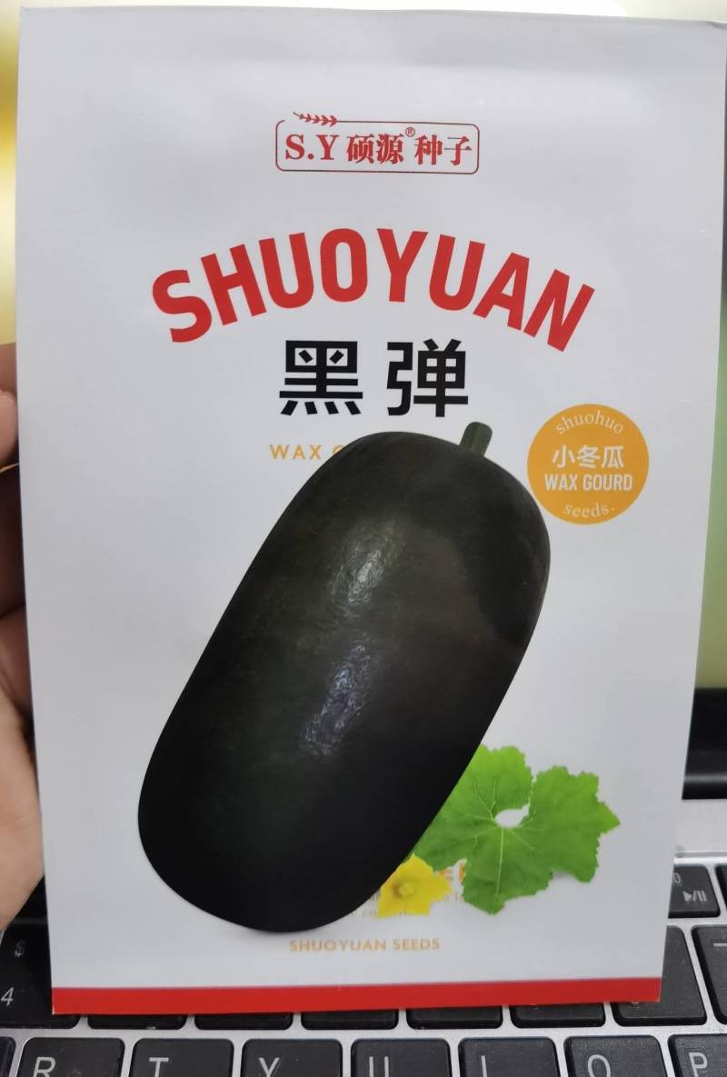 杂交黑皮小冬瓜种子北京硕源黑皮礼品冬瓜迷你型黑冬瓜种子