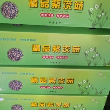 紫皮茨菇