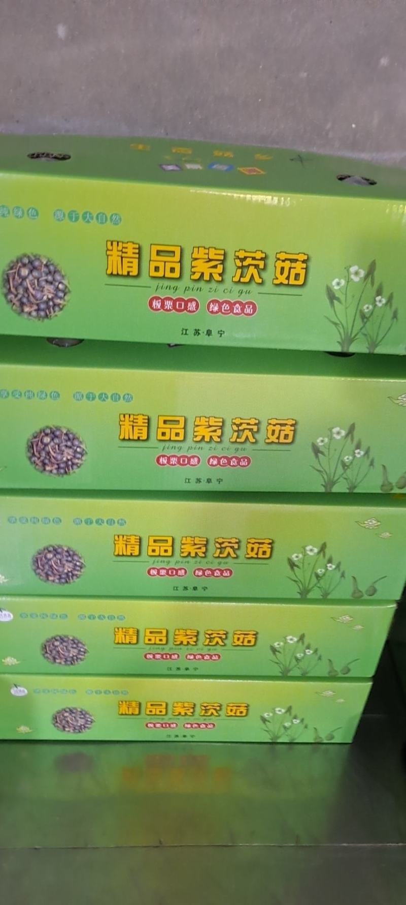 紫皮茨菇
