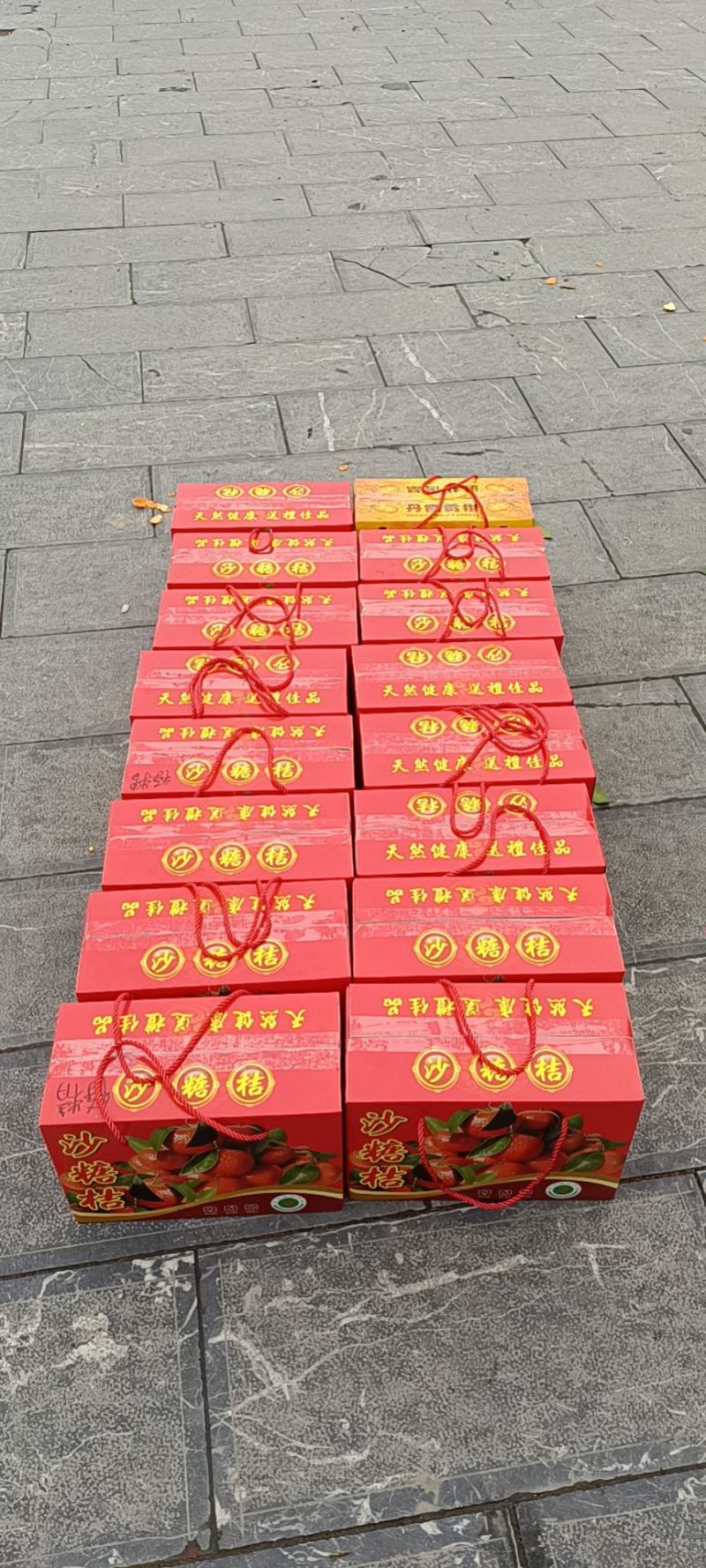 砂糖桔沙糖桔色泽鲜亮皮薄汁甜果园直摘大吨位供应
