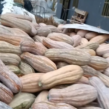 黄皮南瓜，老南瓜，软糯香甜，辅食粗粮，营养可口