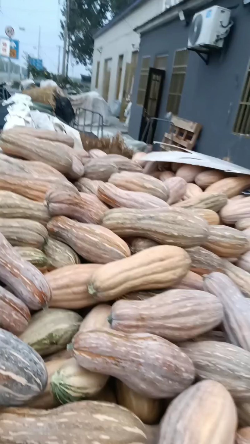 黄皮南瓜，老南瓜，软糯香甜，辅食粗粮，营养可口