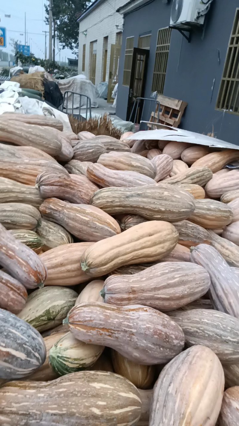 黄皮南瓜，老南瓜，软糯香甜，辅食粗粮，营养可口