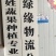 【荐】花菜徐州白面青梗松花菜大量上市一手货源量大
