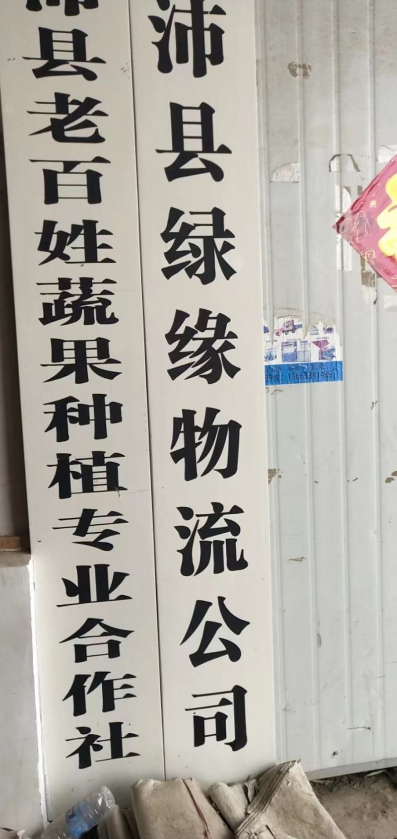 【荐】花菜徐州白面青梗松花菜大量上市一手货源量大
