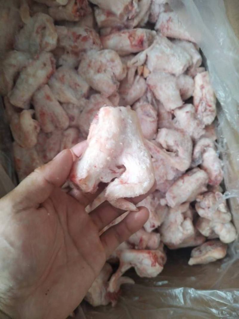 河北河间市羊拐筋长满骨髓厂家直发一手货源批发品质保证