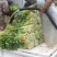 【实力代办】西芹大量供应芹菜全国发货可视频看货