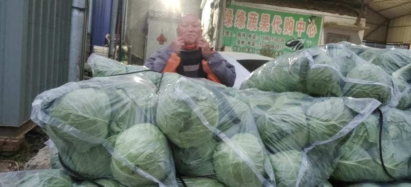 【电话咨询优惠】甘蓝产地货源量大从优全国发货