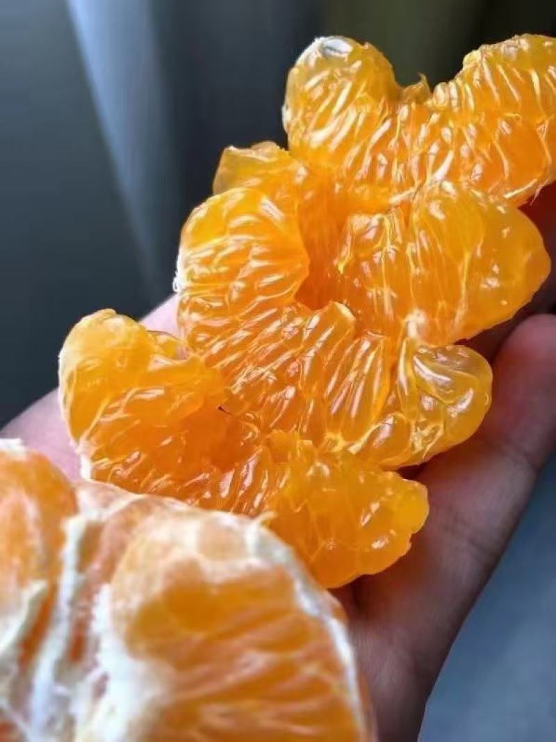 沃柑沃柑皮薄多汁果肉化碴果园直摘供应各大市场电商社区团购