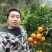 沃柑沃柑皮薄多汁果肉化碴果园直摘供应各大市场电商社区团购