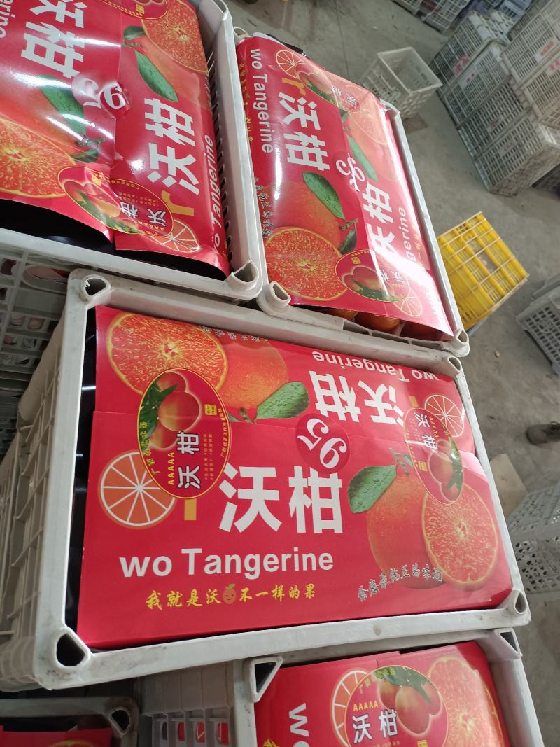 沃柑沃柑皮薄多汁果肉化碴果园直摘供应各大市场电商社区团购