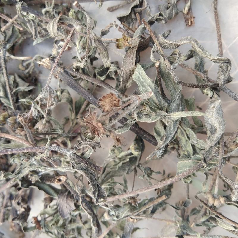 江西野生旱莲草墨旱莲草500克天然莲蓬中药材墨旱