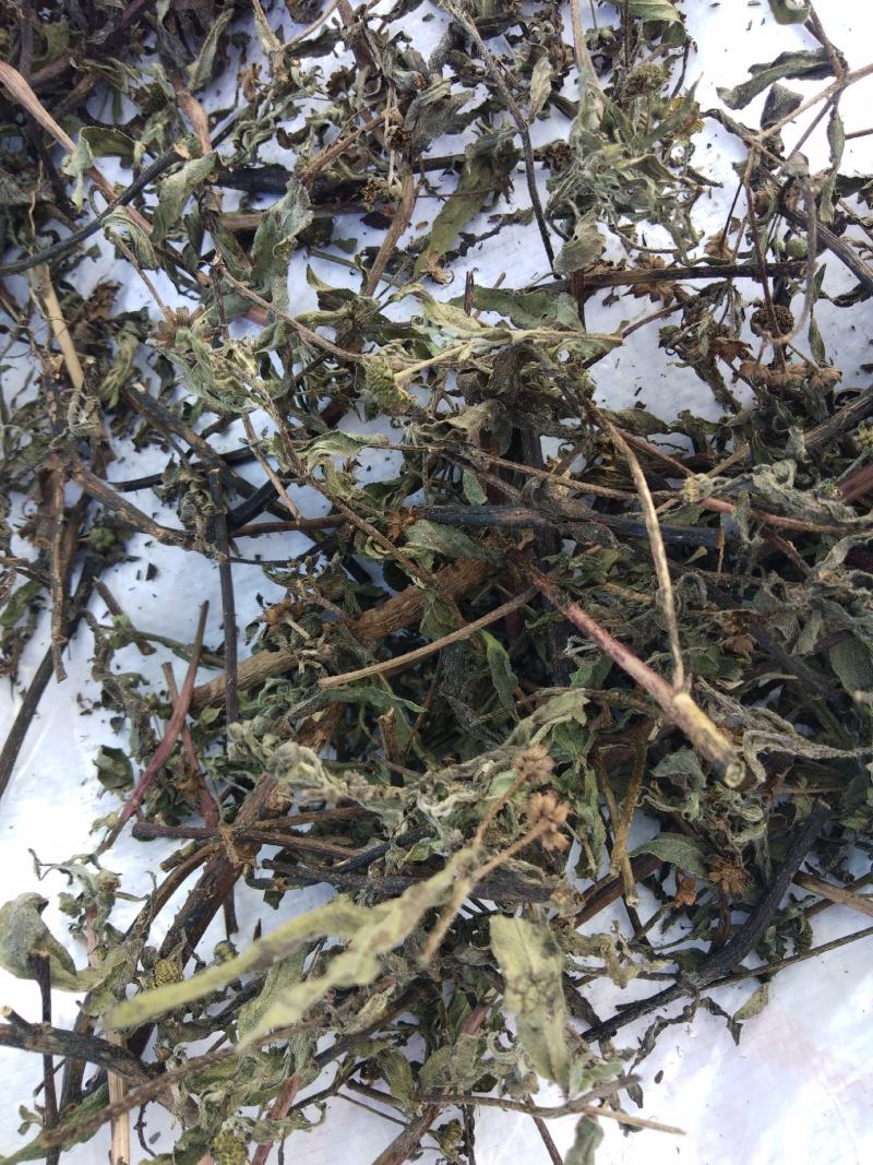 江西野生旱莲草墨旱莲草500克天然莲蓬中药材墨旱
