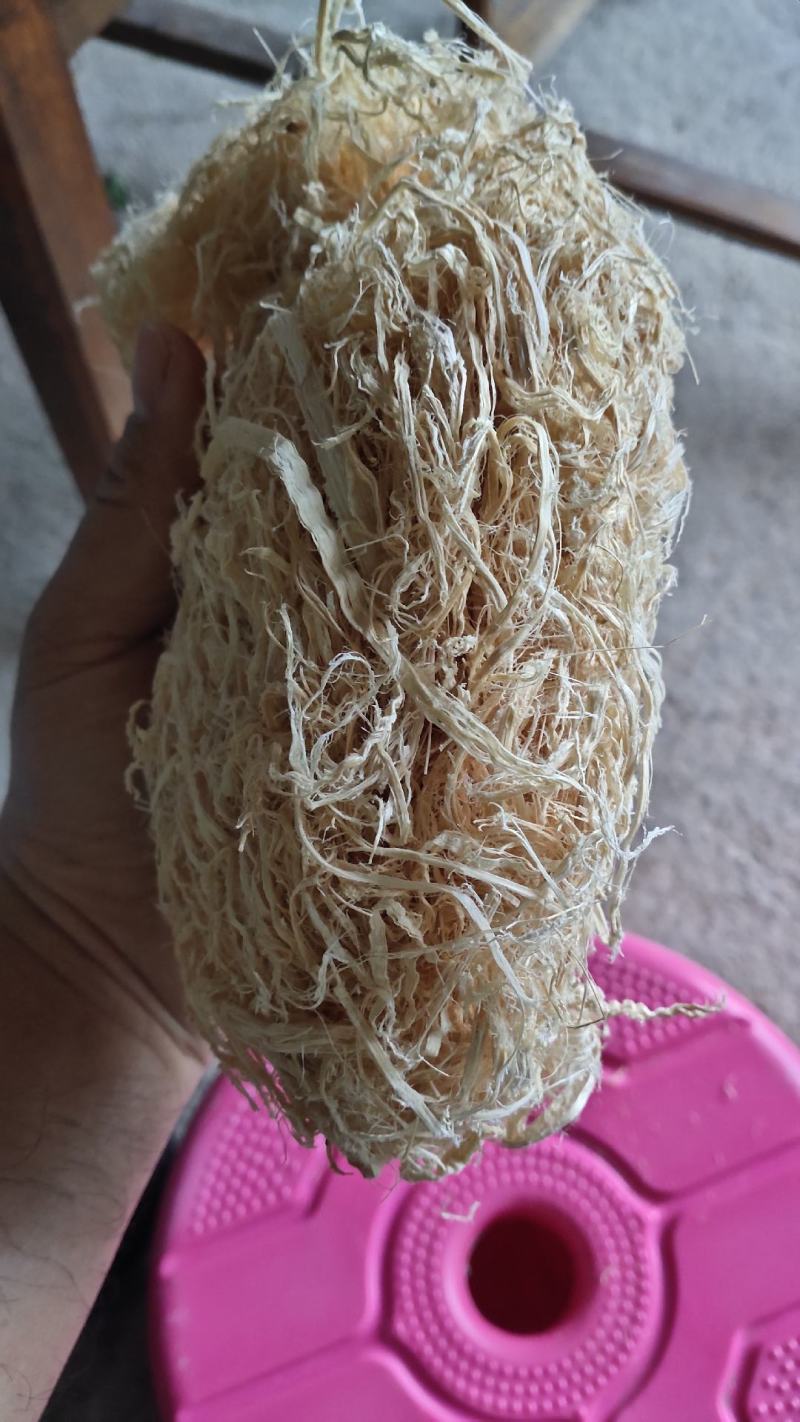 广西大厂竹茹，统货、长细丝，大量批发，支持视频看货选货