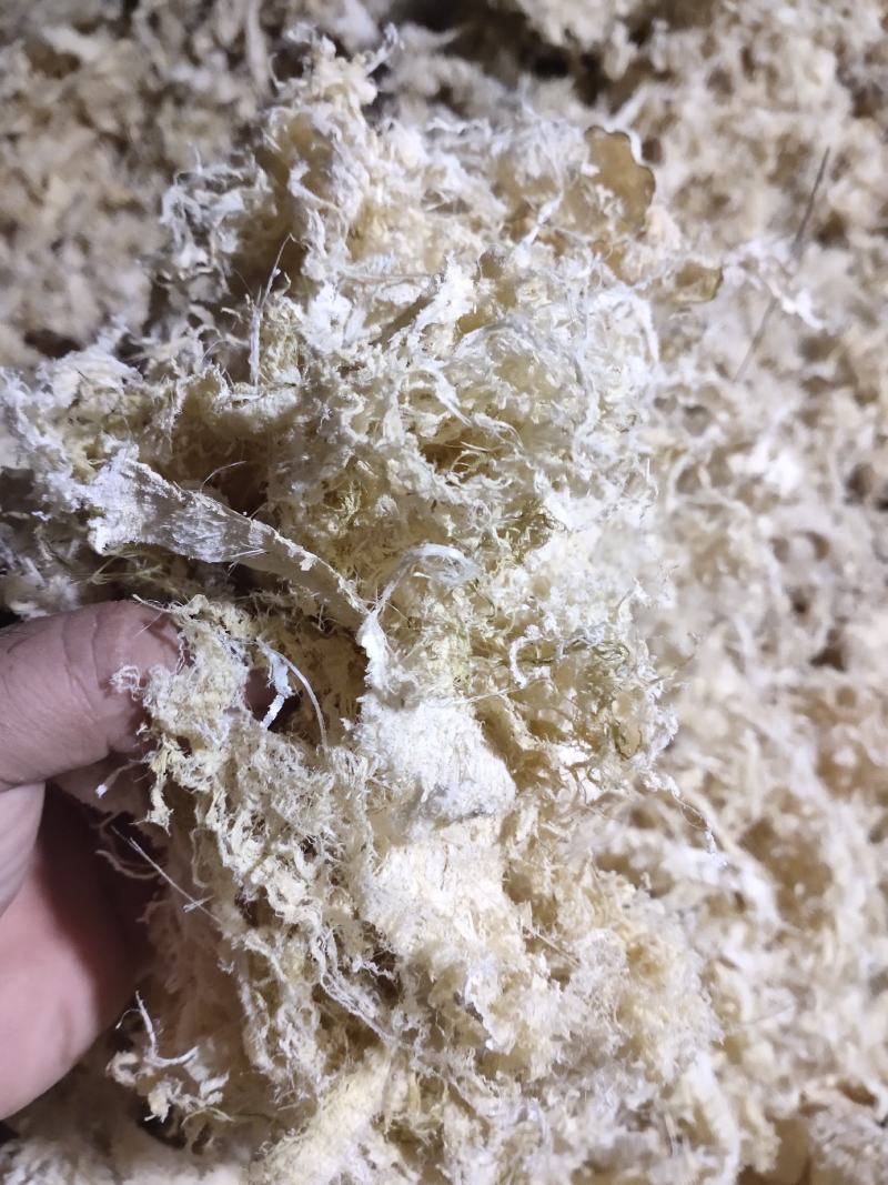广西大厂竹茹，统货、长细丝，大量批发，支持视频看货选货