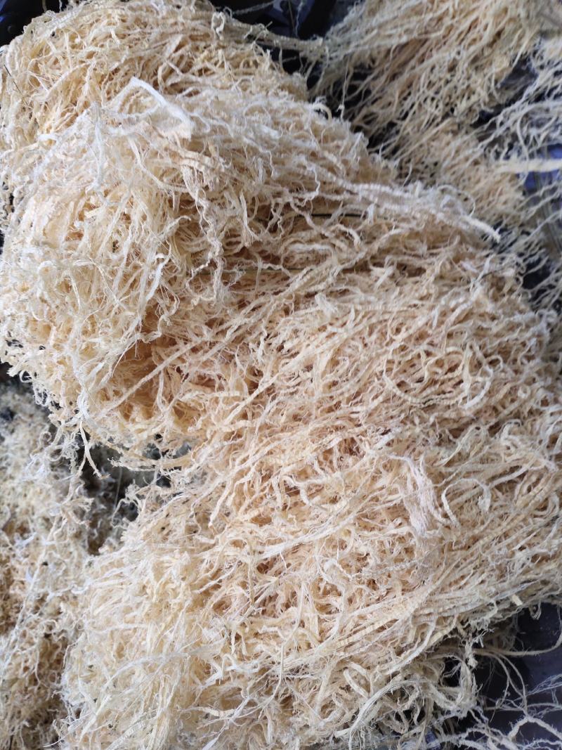 广西大厂竹茹，统货、长细丝，大量批发，支持视频看货选货