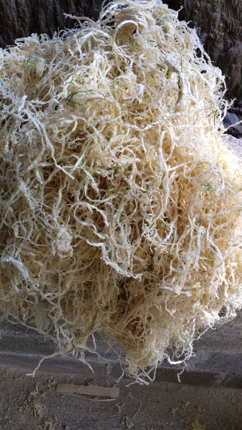 广西大厂竹茹，统货、长细丝，大量批发，支持视频看货选货