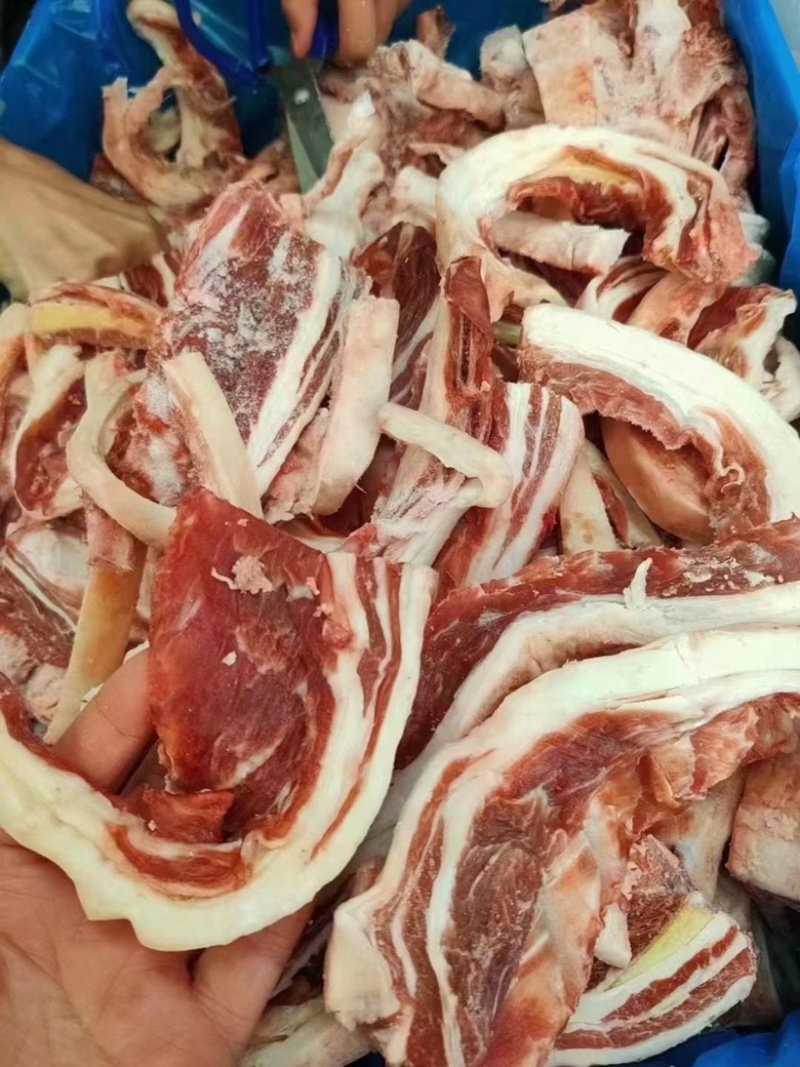 羔羊羽骨也叫羊排筋以质论价