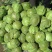 湖北包菜精品圆包菜大量上市一手货源全国发货
