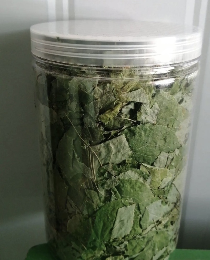 甘肃礼县农家自产淫羊藿小圆叶泡水喝礼县淫羊藿