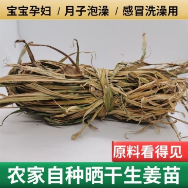 姜苗干干姜叶女人做月子洗头泡脚用宝宝感冒洗澡散风寒泡