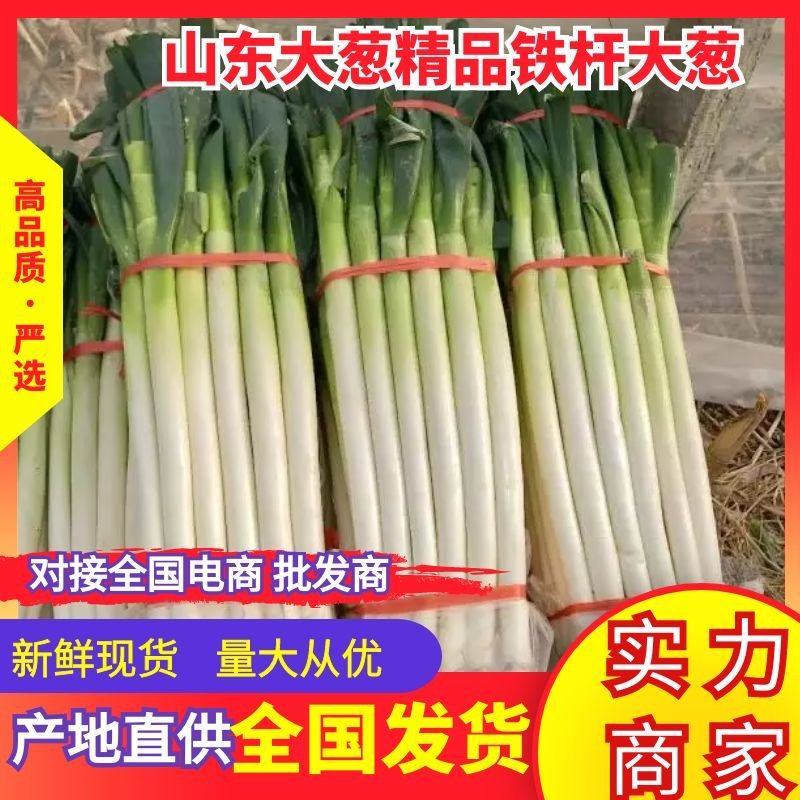山东大葱铁杆大葱，净葱对接全国商超，电商，社区团购