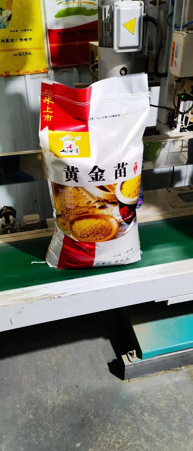 黄金小米