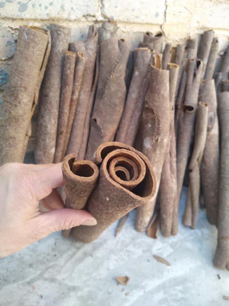 广西平南桂皮天然生晒无硫水洗无杂质适合做卤味香料
