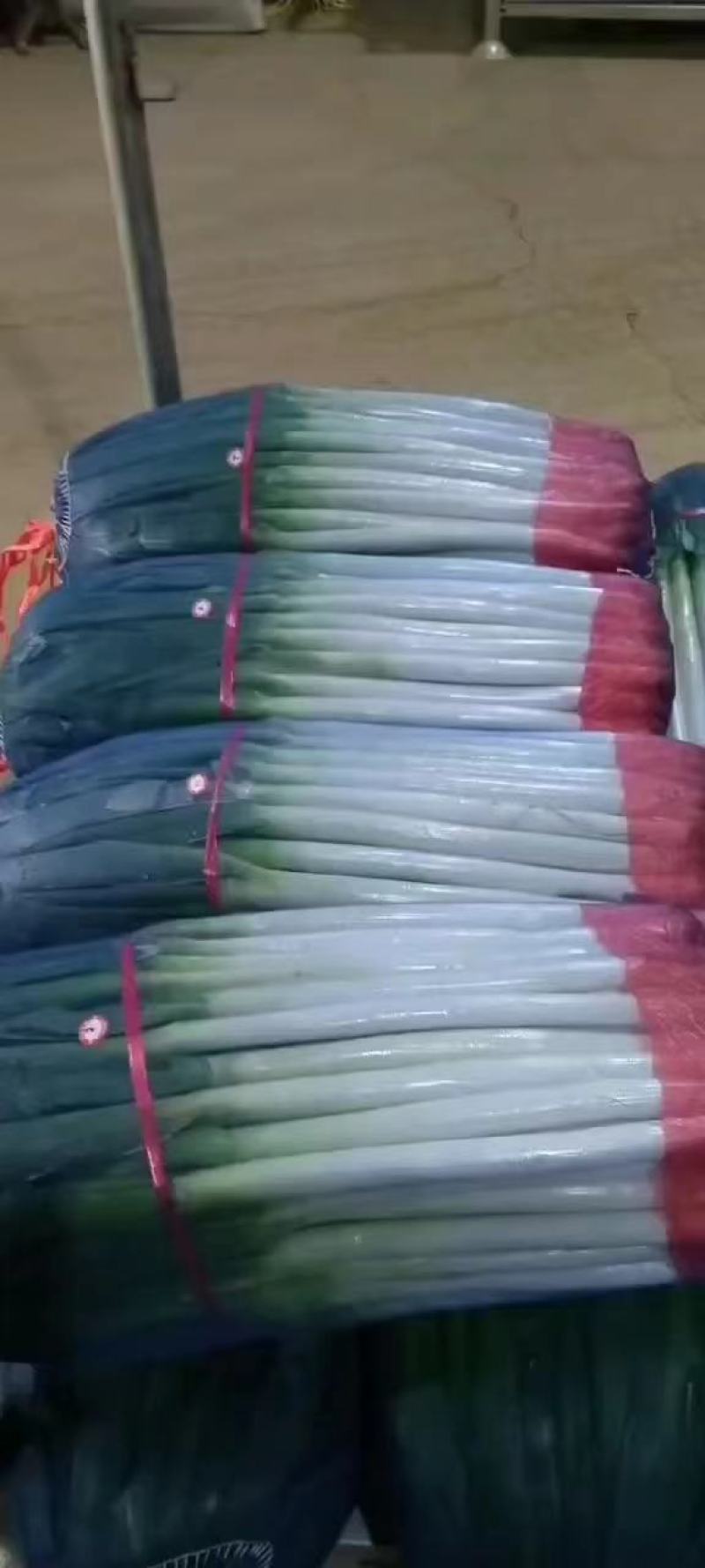 山东大葱铁杆大葱，净葱对接全国商超，电商，社区团购