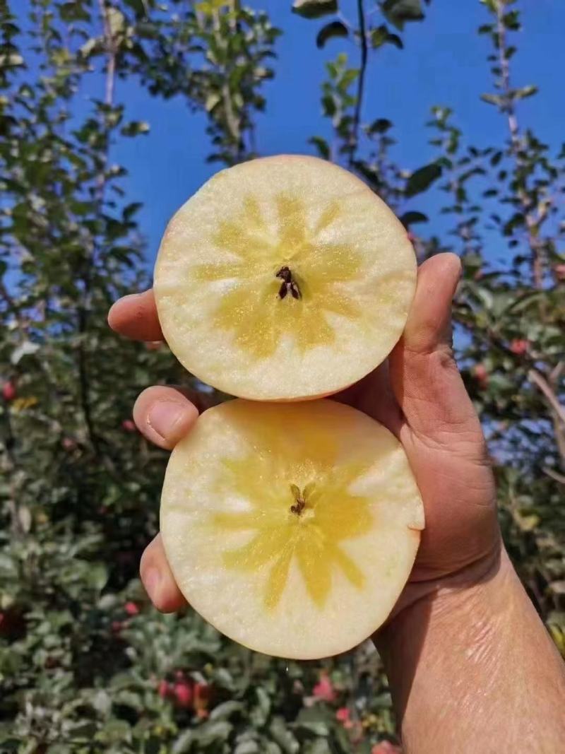 苹果昭通丑苹果云南高原水果嘎嘣脆苹果