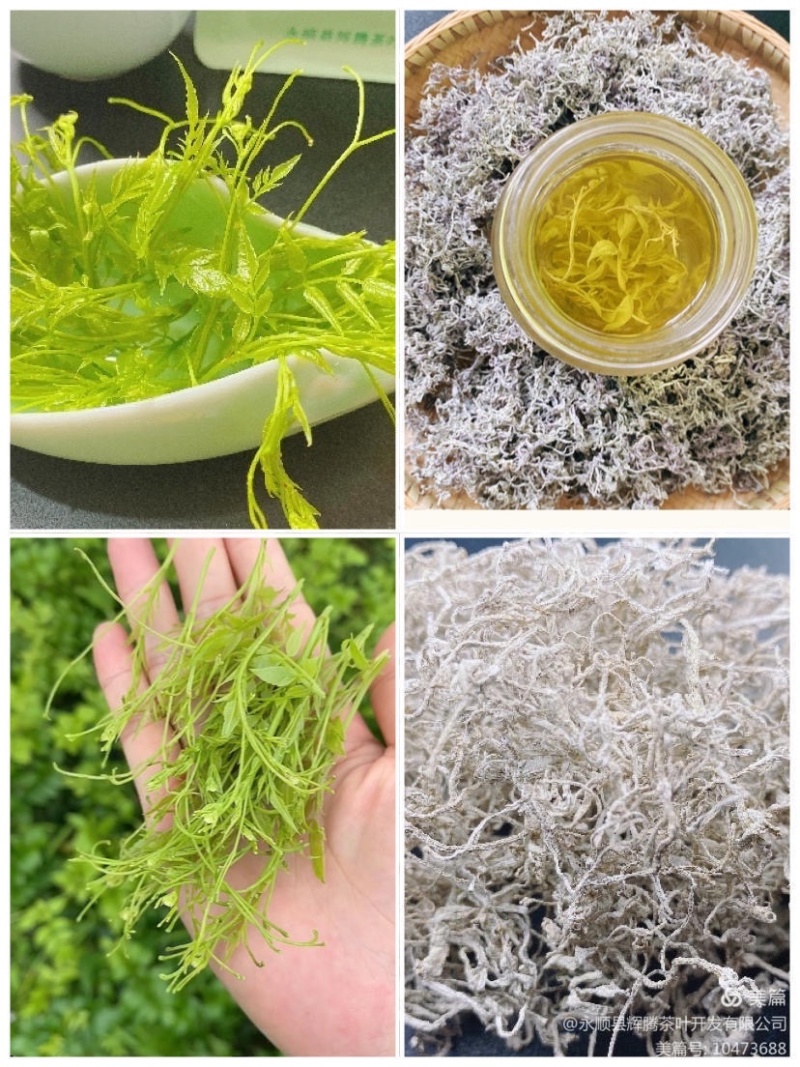 湖南湘西土家族苗族永顺县“毛坝云诗莓茶”野生莓茶