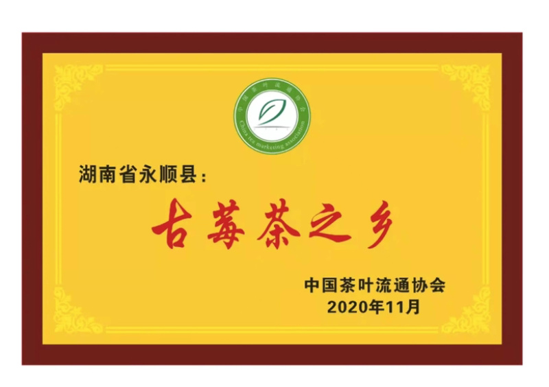湖南湘西土家族苗族永顺县“毛坝云诗莓茶”野生莓茶