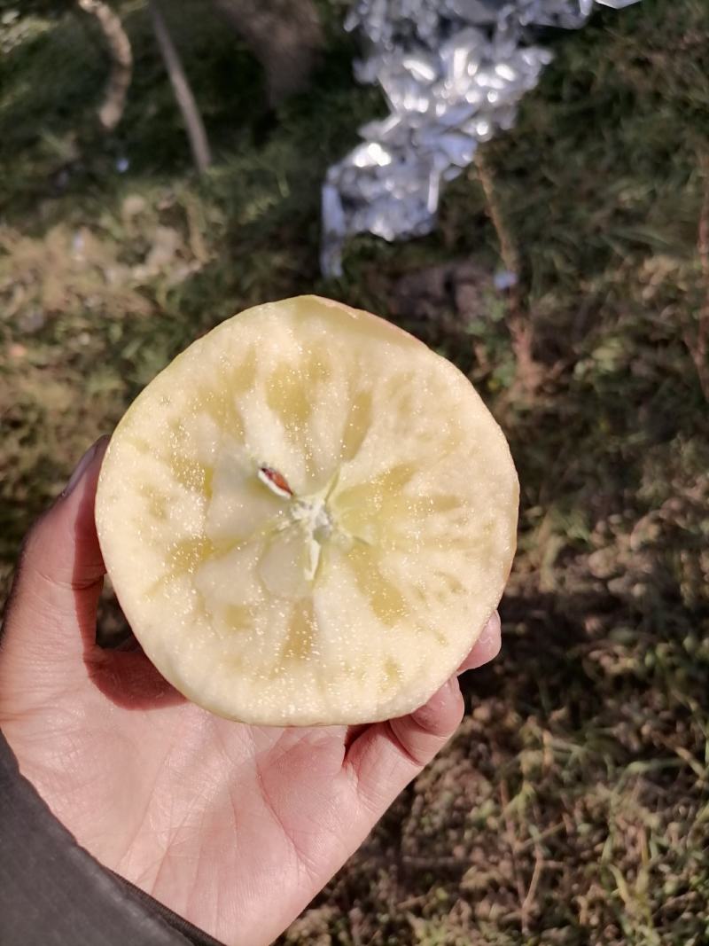 新疆阿克苏冰糖心苹果！口感脆甜画渣程度相当高，果子含有机