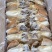 墨鱼干东山岛海鲜煲汤水产干货天然淡晒批发炖品店社区