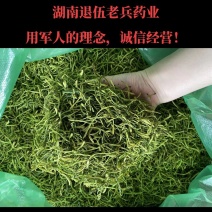 湖南湘蕾金银花，道地药材，产地直发，军人的理念经营