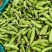 青蚕豆。胡豆大量上市………………………………