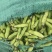 青蚕豆。胡豆大量上市………………………………