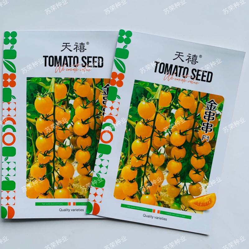 天禧金串串种子无限生长型节间短产量高抗病耐储运樱桃小番茄