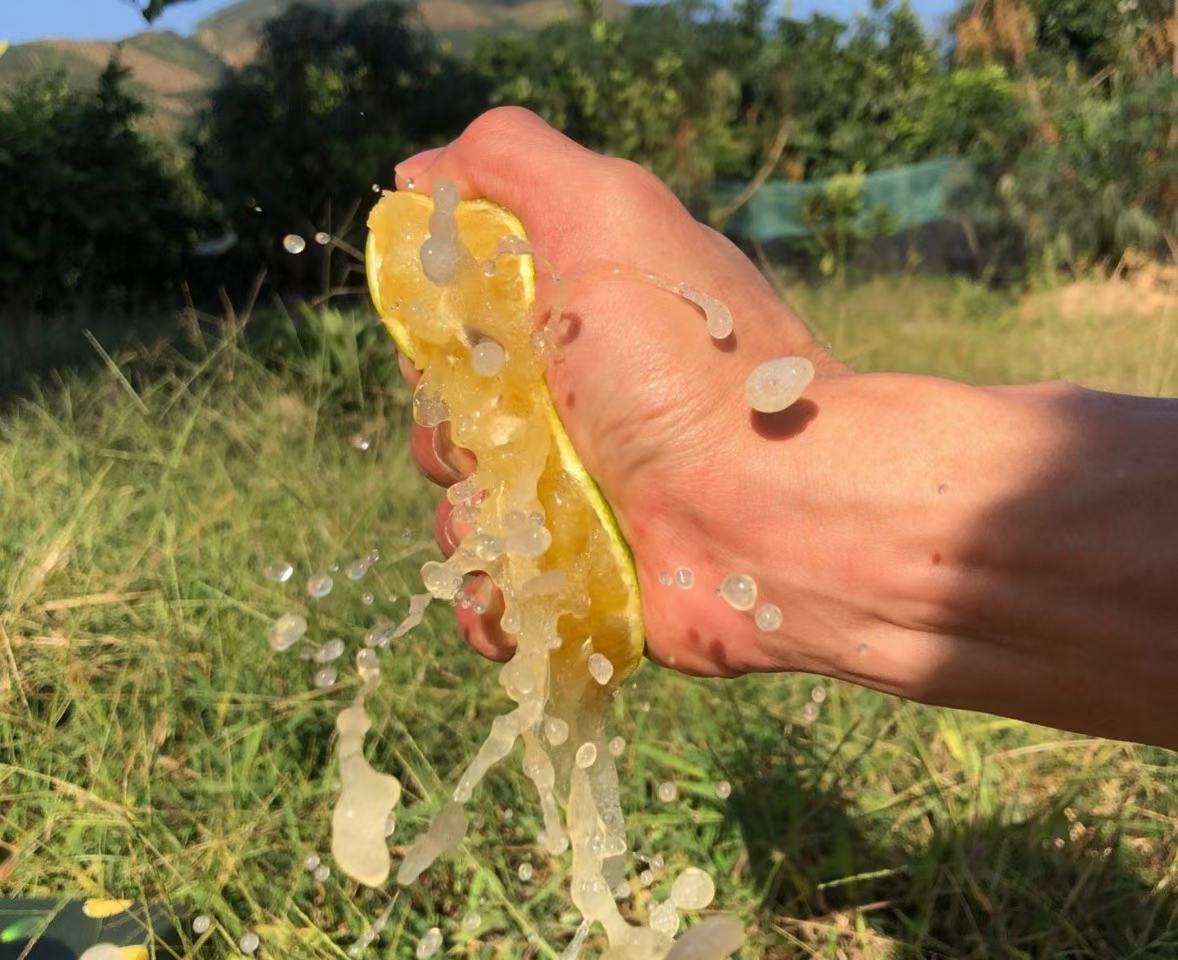 橙子榨汁过程