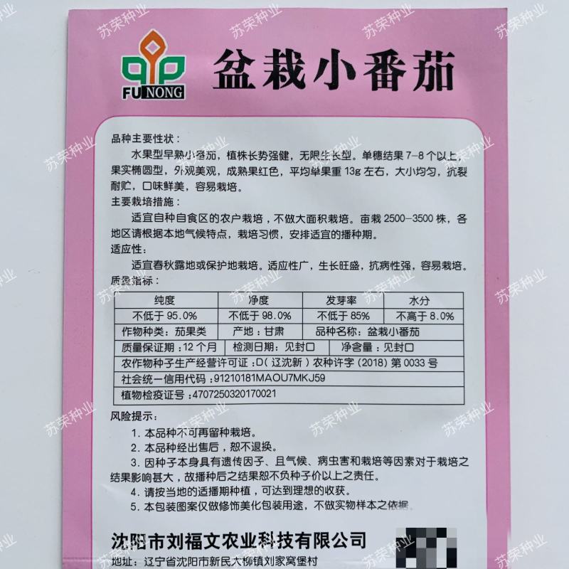 矮生盆栽番茄种子室内阳台四季种植小西红柿种籽圣女果蔬菜