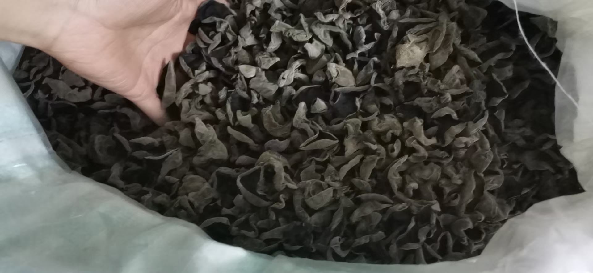 木瓜与牛奶的营养成分对比图