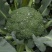 【热卖中】西兰花质量好品质好，货源充足，欢迎各地老板下单